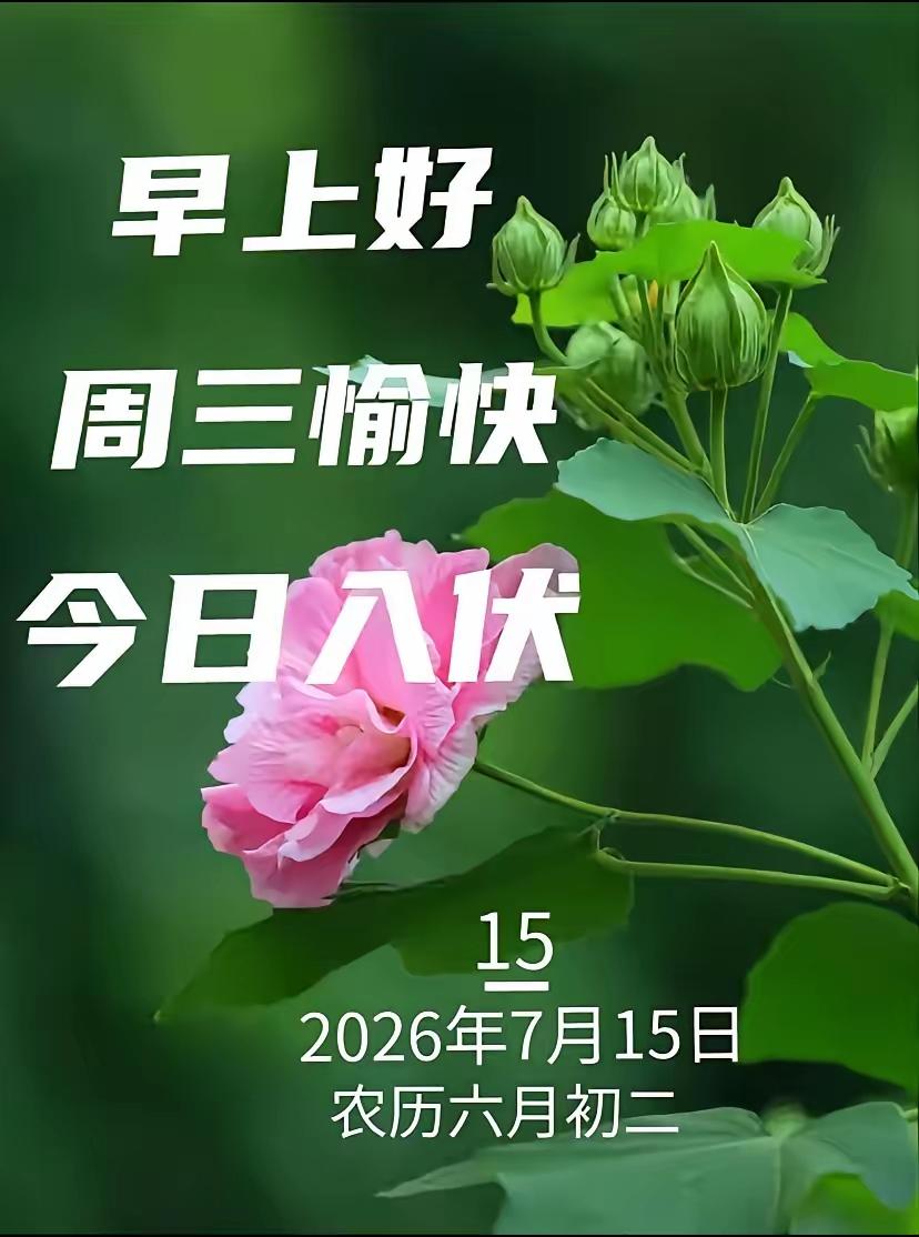 7.15日🌹🍎🍎早上好😄♥️🌹今天入伏，愿我们：伏季无忧、平安健康、