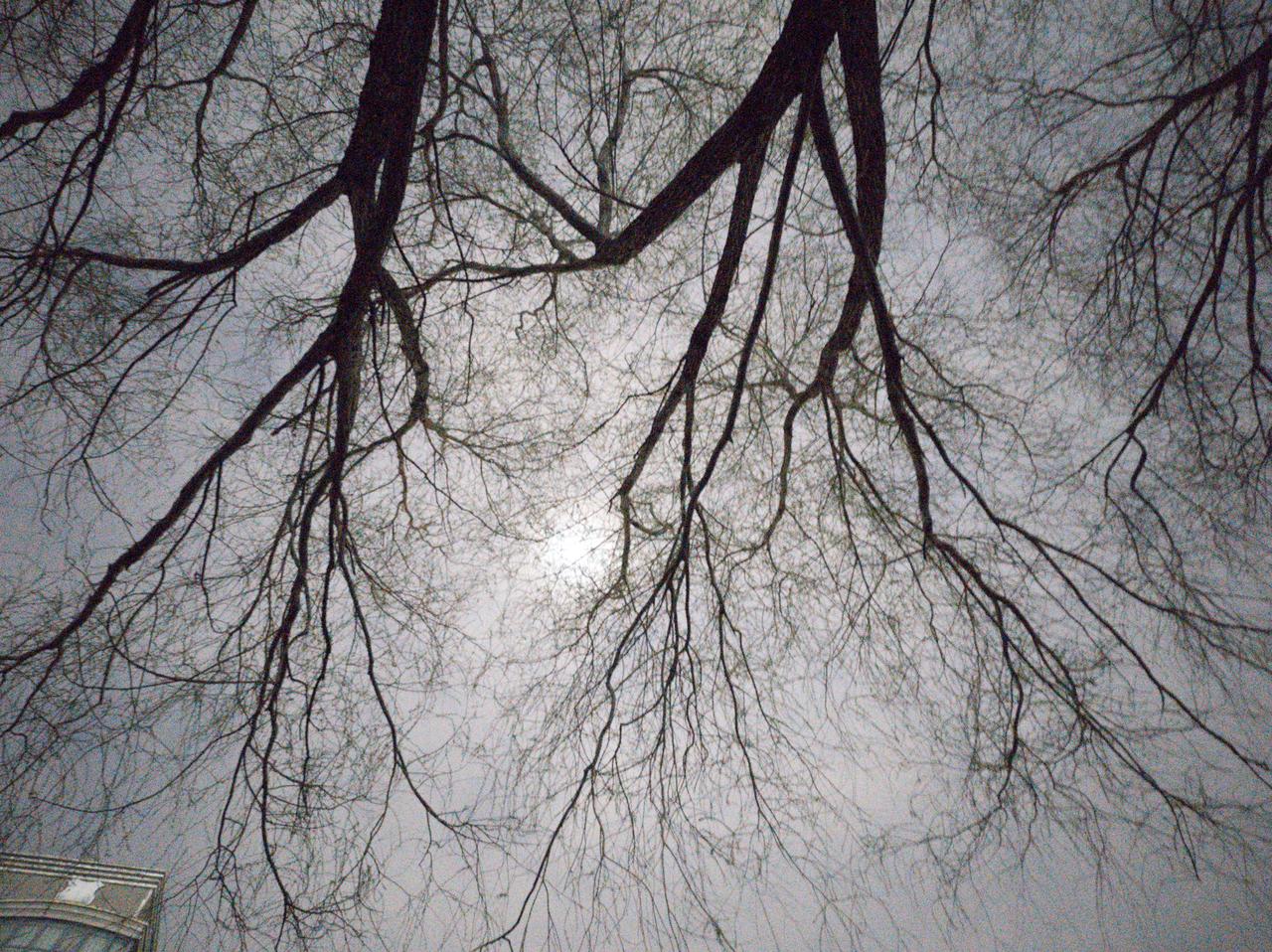 某野郊公园西侧，有人开着小汽车牵着狗，大约是在遛狗，而且狗绳目测超过1米。虽然