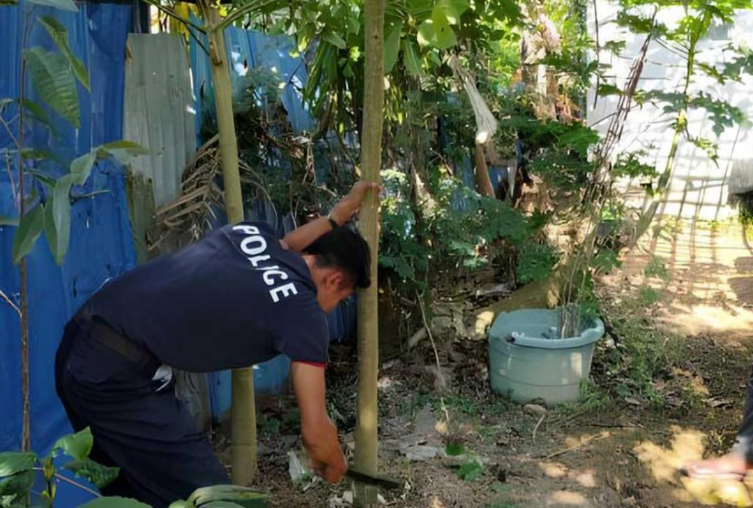 这锅煮出来的“毒水”, 正在让大量缅甸年轻人沉迷