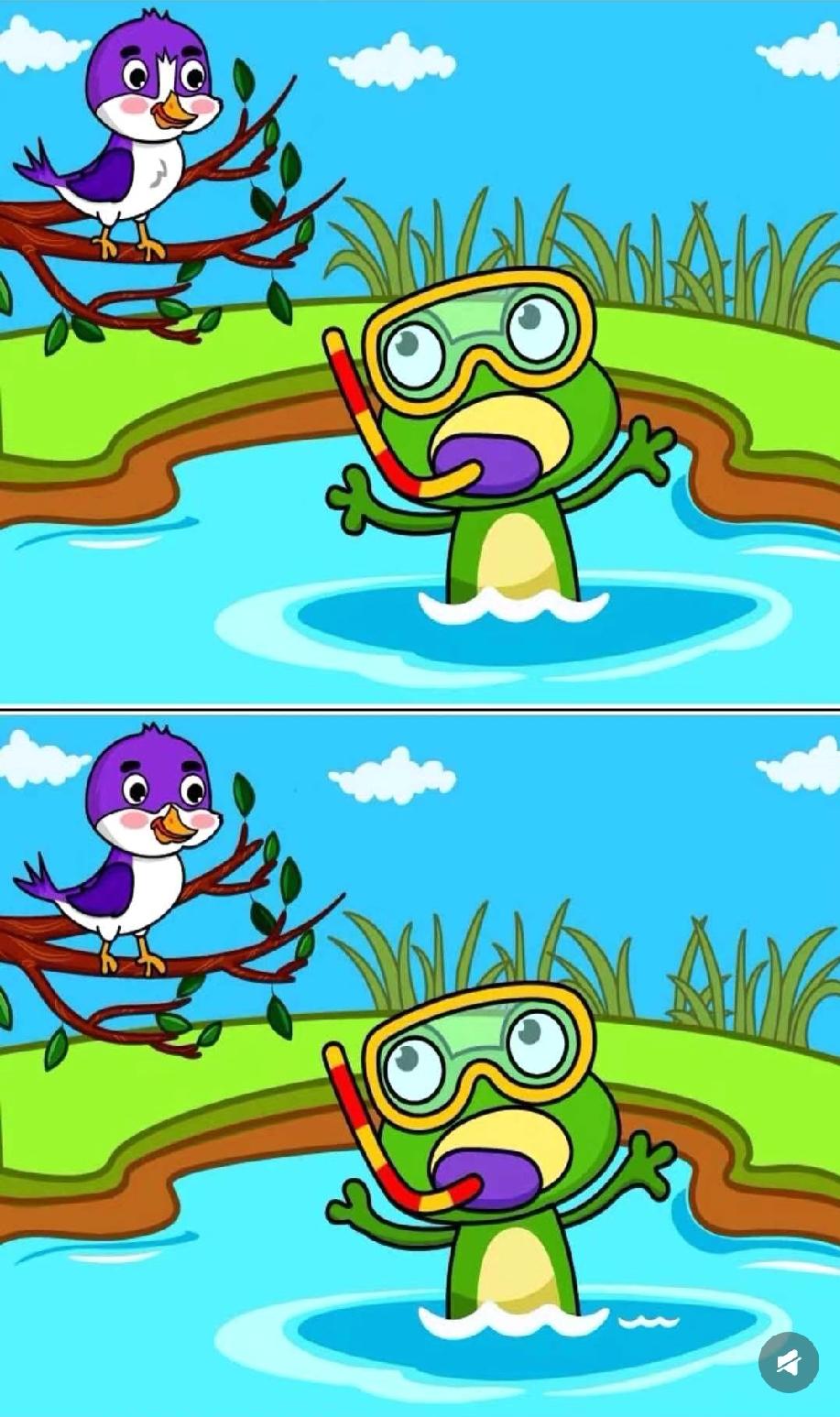 这张图90%的人没看出区别！青蛙和小鸟的细节藏了啥？你能找出不同吗？