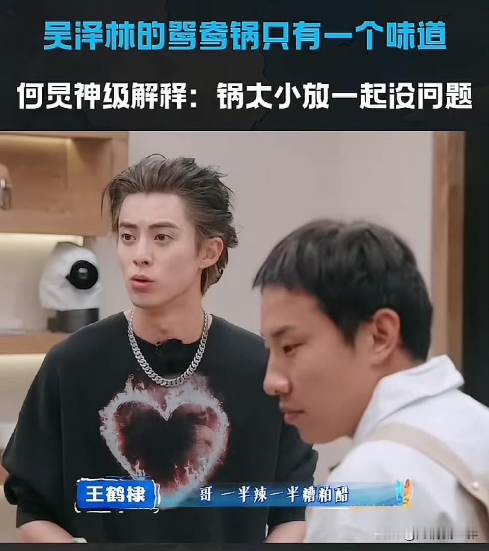 难道只有我觉得何炅的这个烂好人有点奇葩吗？明明是吴泽林把鸳鸯锅理解错了，还拒不承