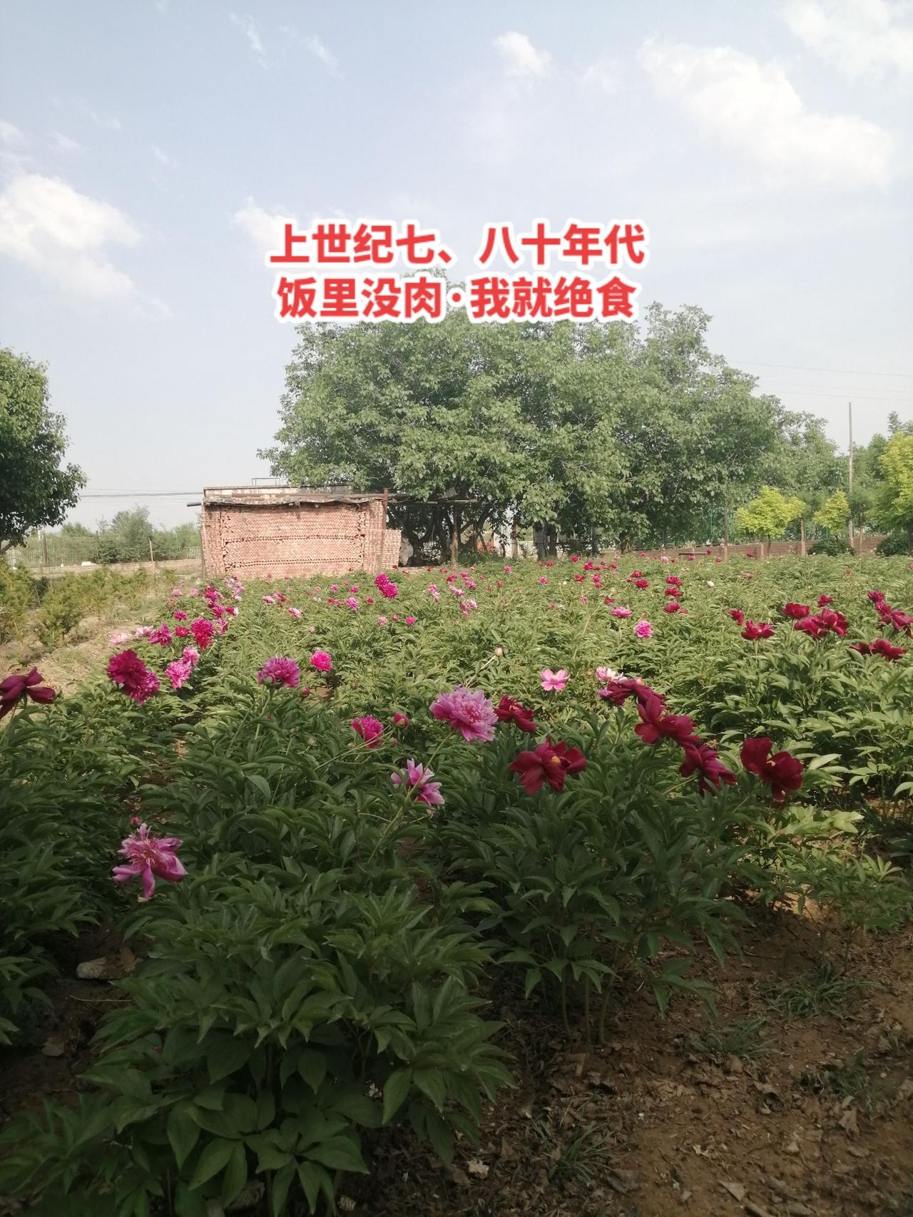 平原地区，人均耕地约1亩，亩产一千斤，交一百多斤，确实不多，但亩产三、四百斤的年