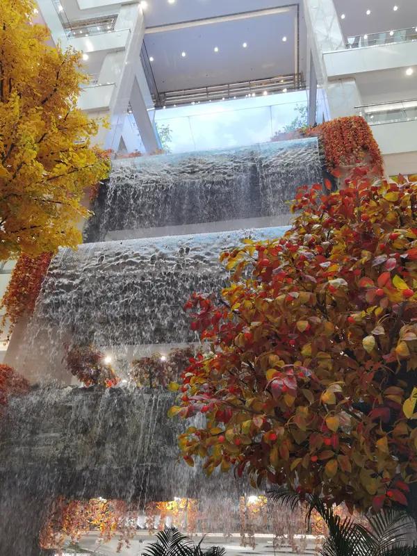 10月30日,西安赛格国际购物中心内一家火锅店“火”了一把。有网友爆料,自己在该