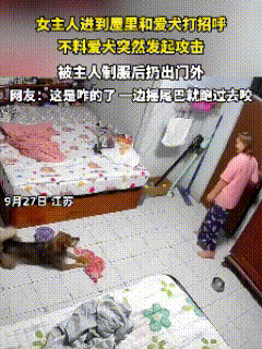 细思极恐！江苏临沂，女主人下班回家，跟养了5年的爱犬打招呼，没成想，温顺的狗突然