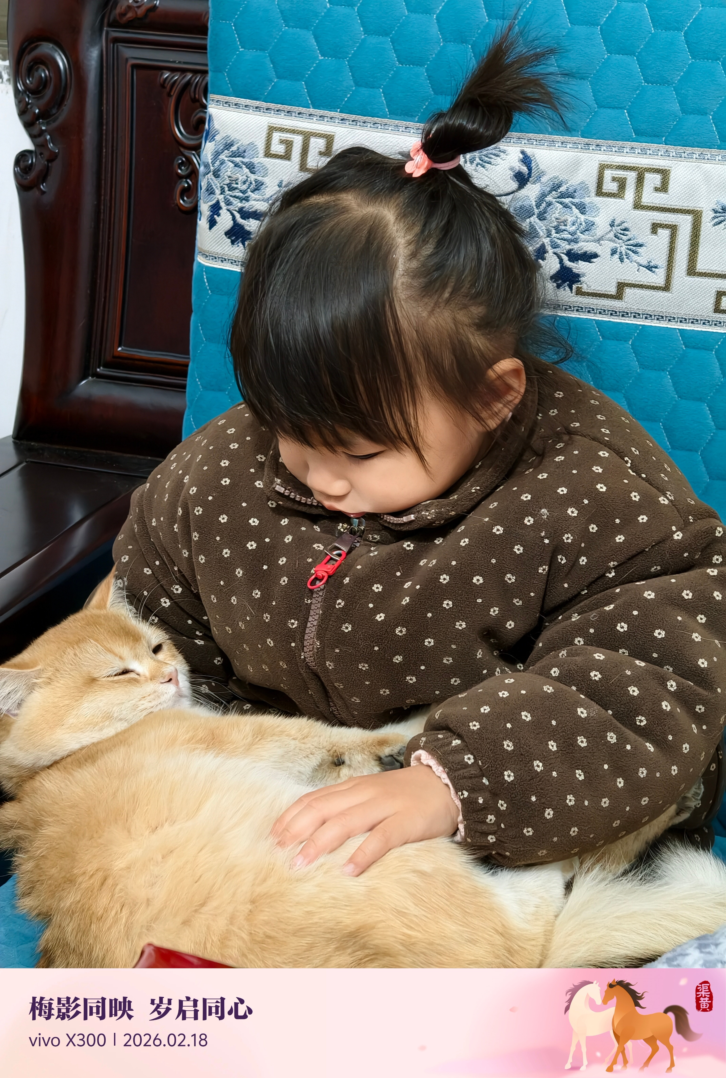 魔童一抱上小猫就成灵珠了不哭不闹乖乖坐着。小猫伟大！！！