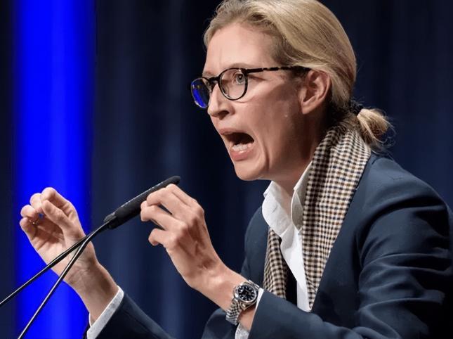 骂战发酵48小时!冯德莱恩硬刚魏德尔,欧盟内部炸锅,美国急着“灭火”?