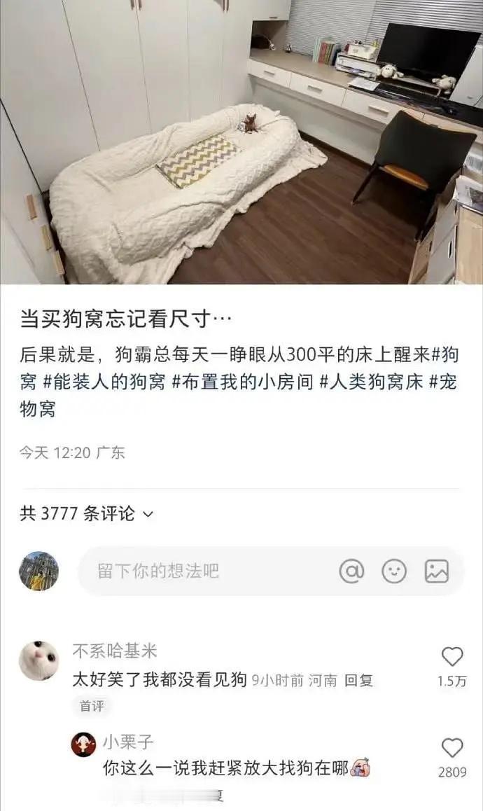 霸总每天一睁眼从五百平的床上醒来​​​