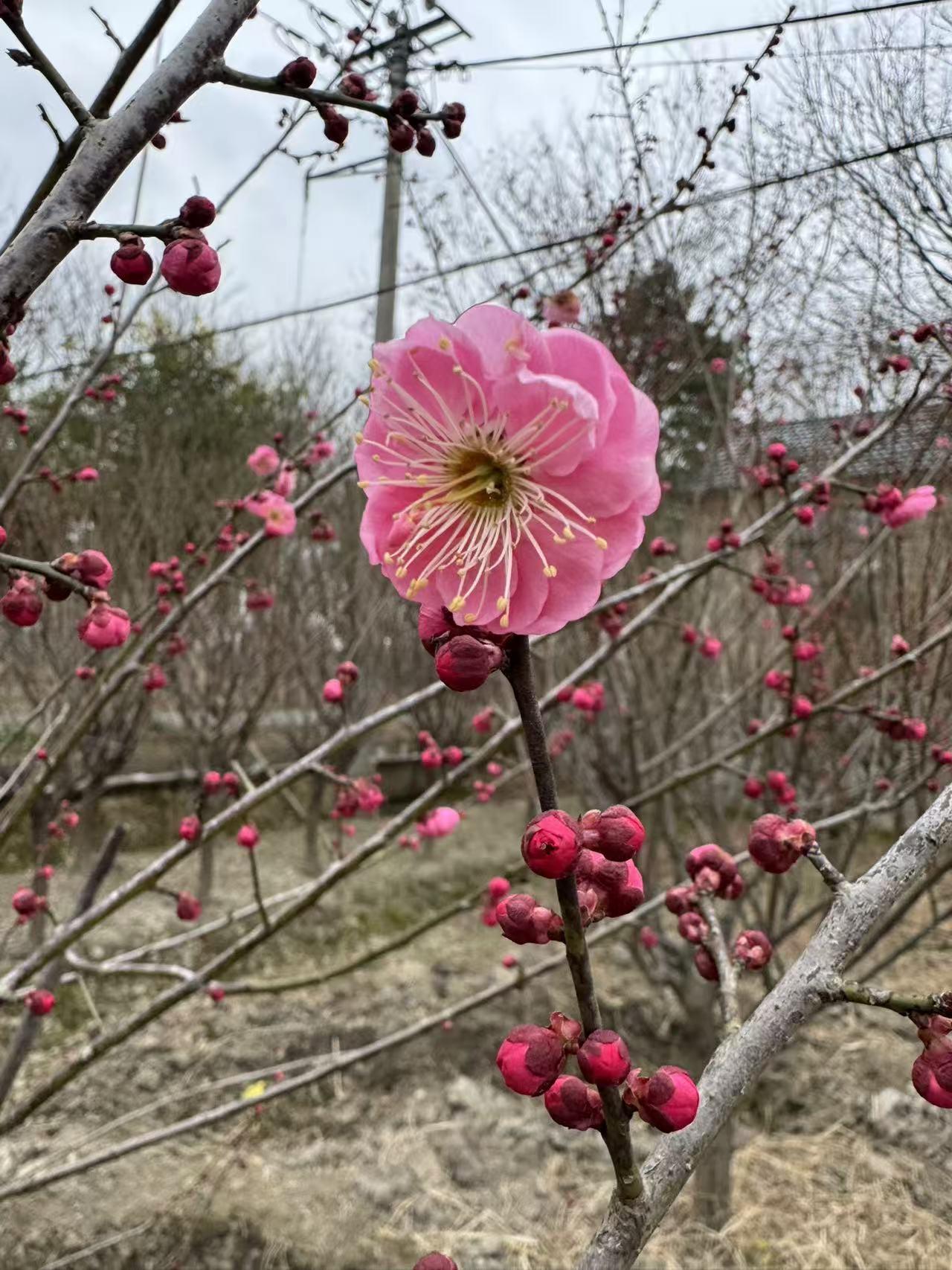立春只是节气上的“入春”，实际气温并不会立刻回暖，尤其是北方还会有持续的低温、寒