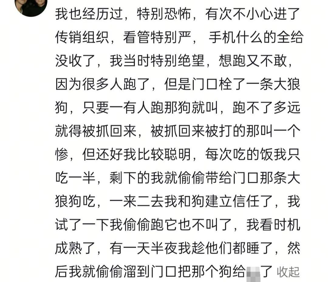 哥们，对于你的遭遇我深表同情。对于狗的遭遇我更同情