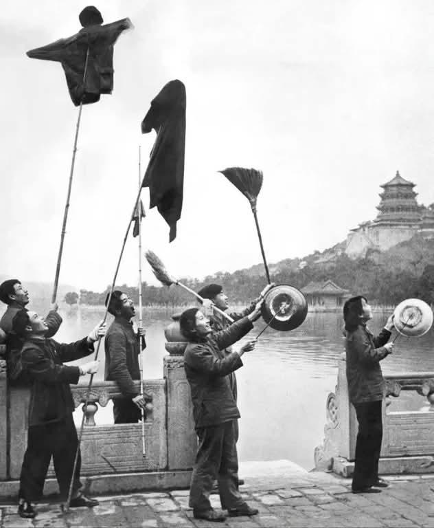 1958年，北京颐和园，照片记录了“除四害”运动中的一幕。画面里，人们在昆明湖畔