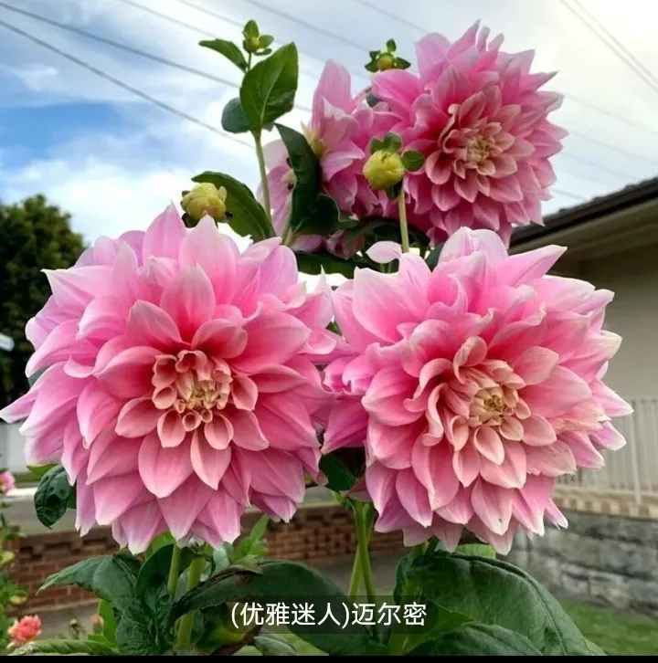 忘掉一个喜欢很久的人太难了，但也不是没办法。首先，得给自己时间和空间...