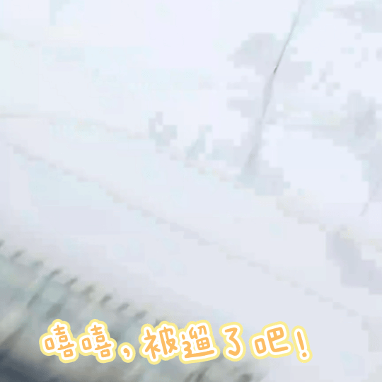 田嘉瑞直播被小狗缠住点进田嘉瑞直播感觉被遛了田嘉瑞想展示一下遛狗日常，结果被狗