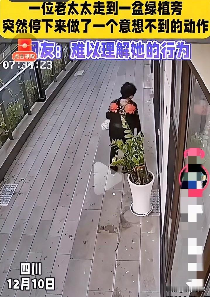 为老不尊啊！四川一老太太经过一家门店，本为以她是进店买衣服，只见她走到门口，然后