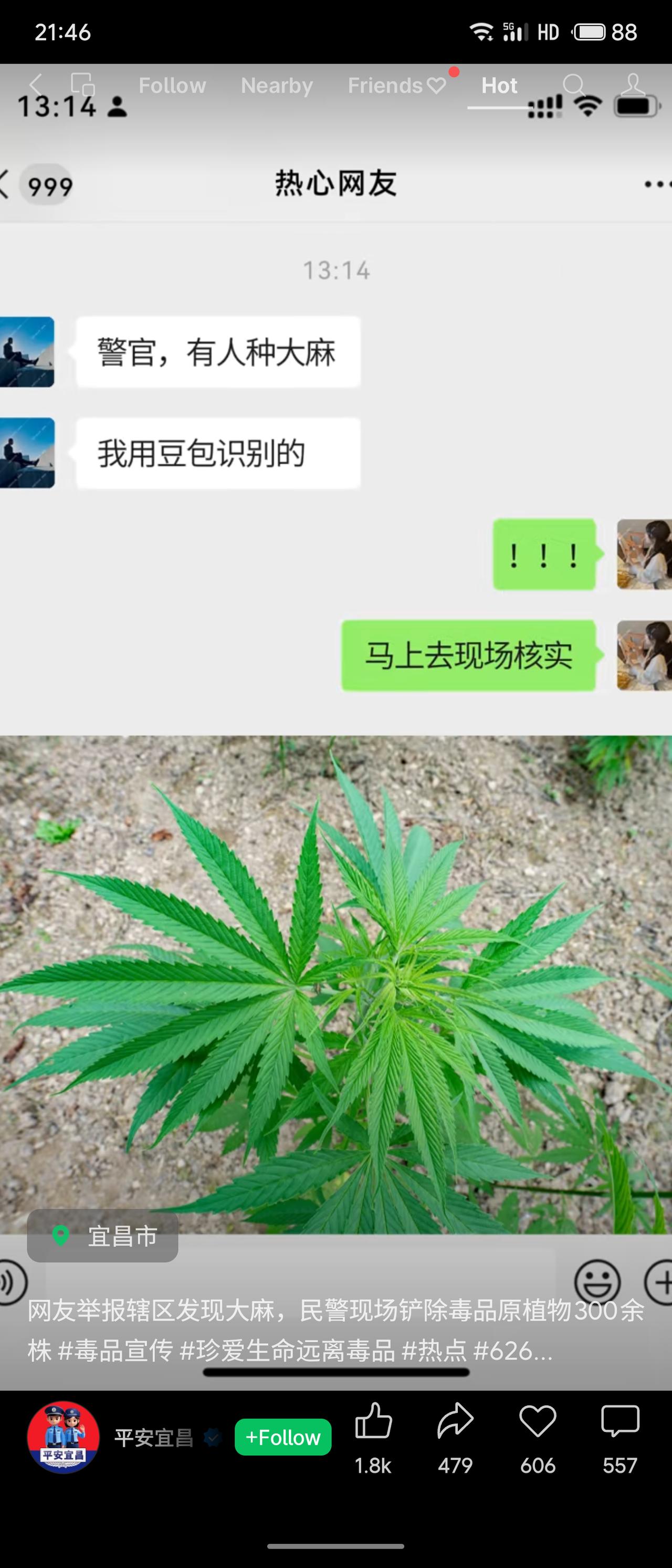 湖北宜昌电力工人巡线时发现村民种植大麻，网友用“豆包”识别后向公安机关举报。禁毒