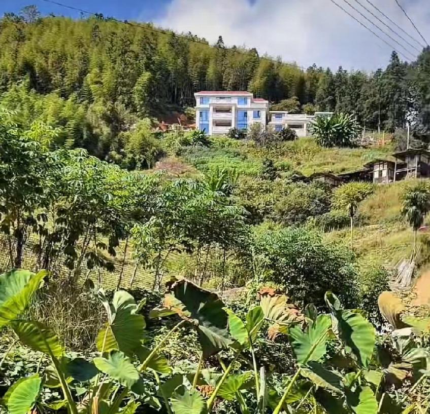 改革开放以后，许多农村人都进城去打工了，也有人做起了小买卖，在这几十年间，有不少