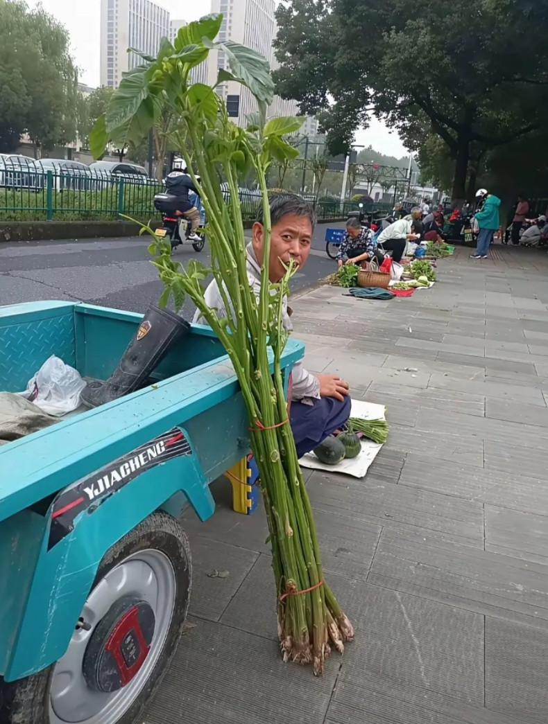 谁知道这位大哥卖的这是什么东西？是吃的吗？