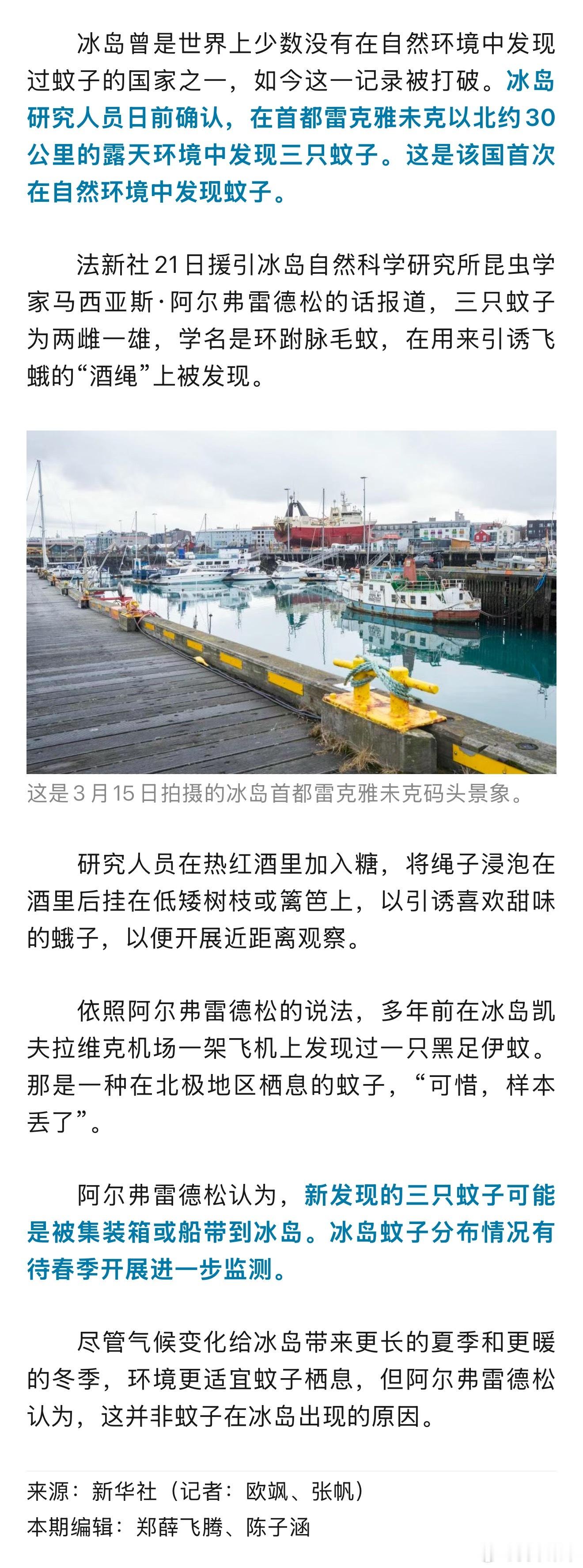 这可是填补了冰岛没有蚊子的空白……听说很多人微信之所以是冰岛人，就是因为冰岛没有