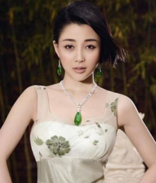 2009年，殷桃在富豪孙东海的疯狂追求下，成为了他的女人，没想到孙东海又惦记上了