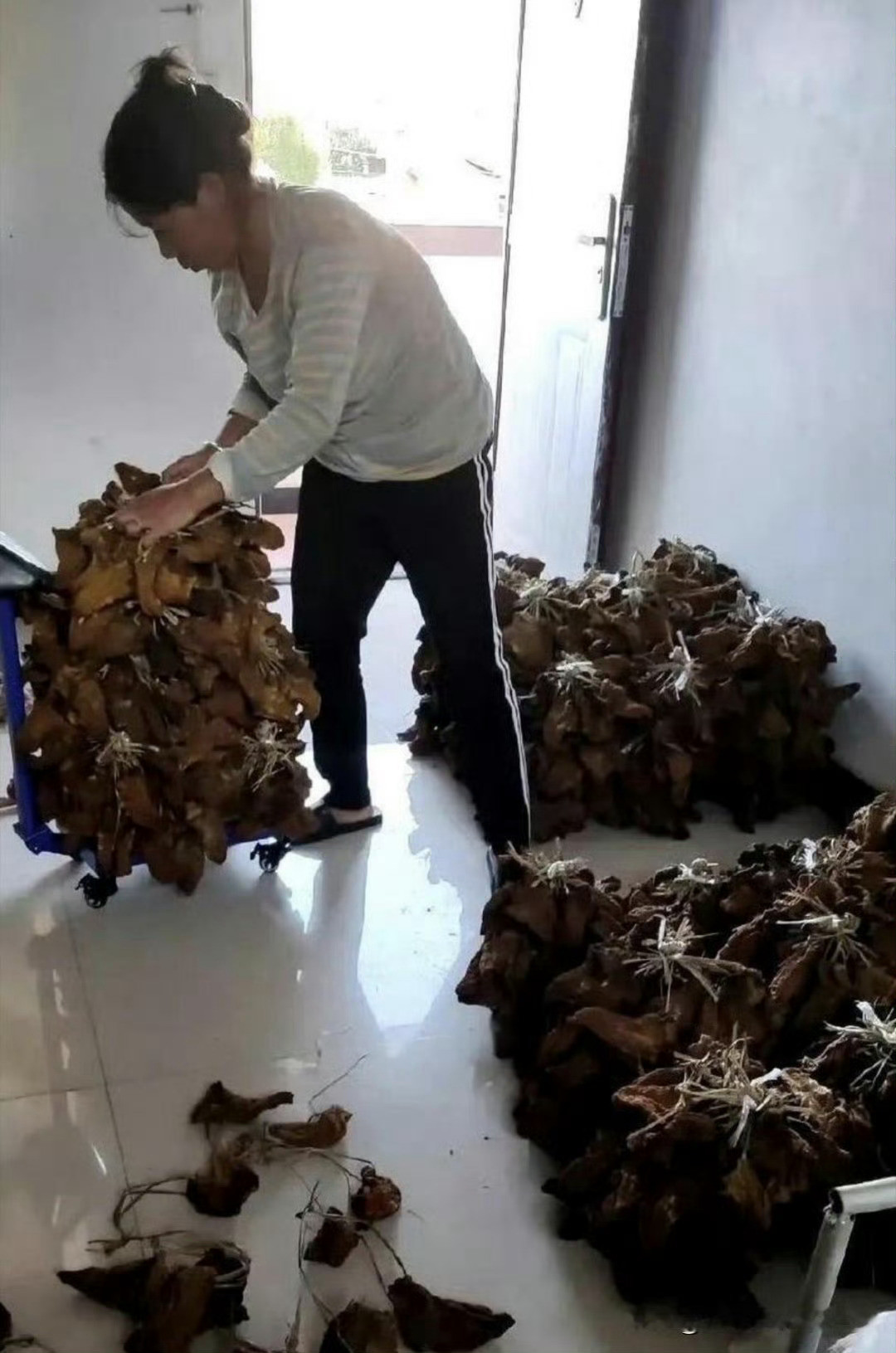 这才是真正的大户人家太羡慕了​​​​