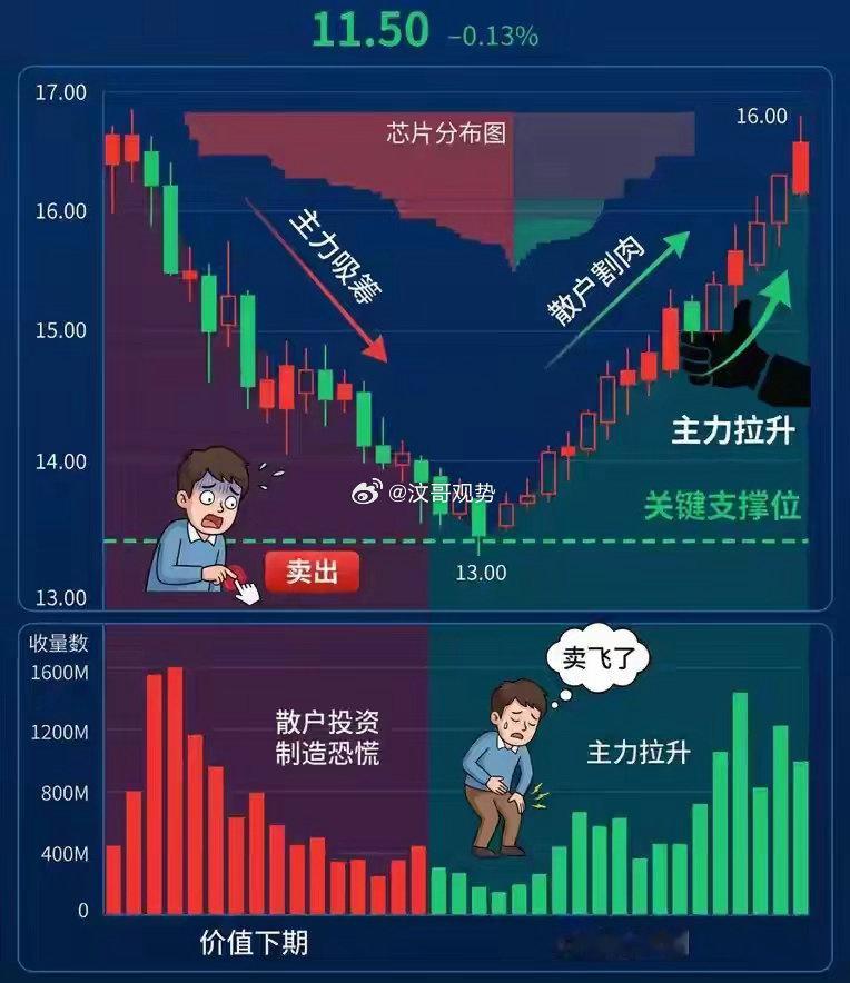 文章分享判断个股筹码状态的实用思路，帮投资者区分主力洗盘与出货，减少卖飞、高位套