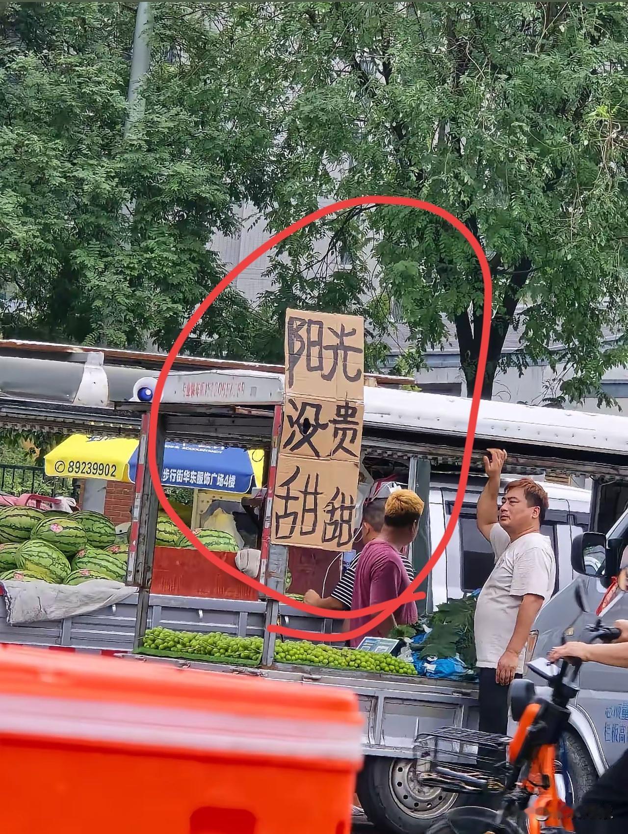 “阳光没贵”真的甜