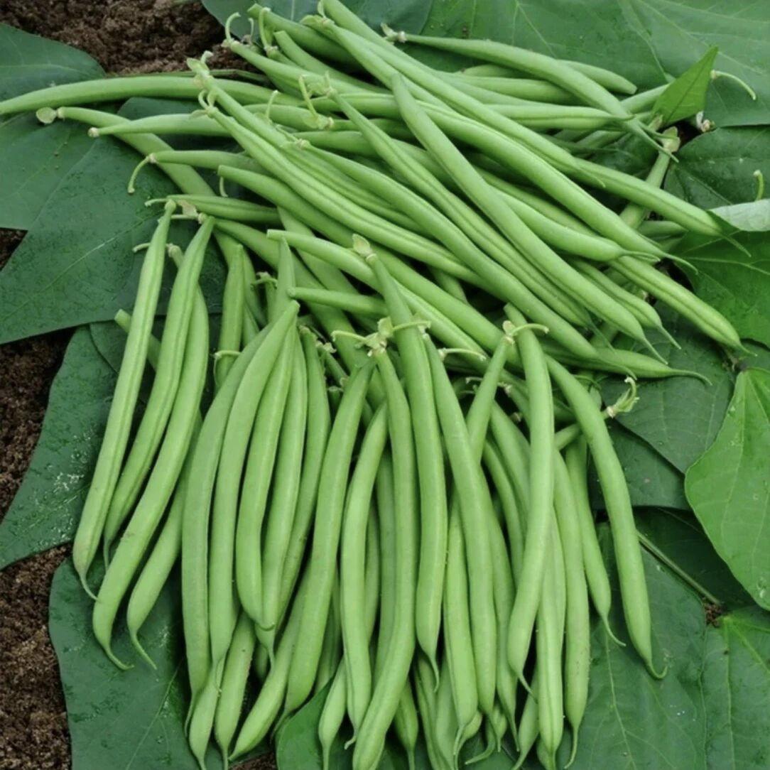 干煸四季豆是一道经典的川菜，以其香辣鲜美、口感丰富而深受人们喜爱。这道菜不仅色香