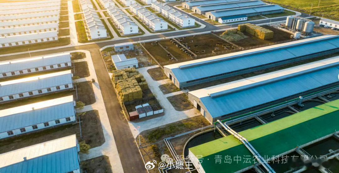 青岛产业突飞猛进实至名归，农业建成两条千亿级产业链，集聚大批顶尖产业领军企业，从