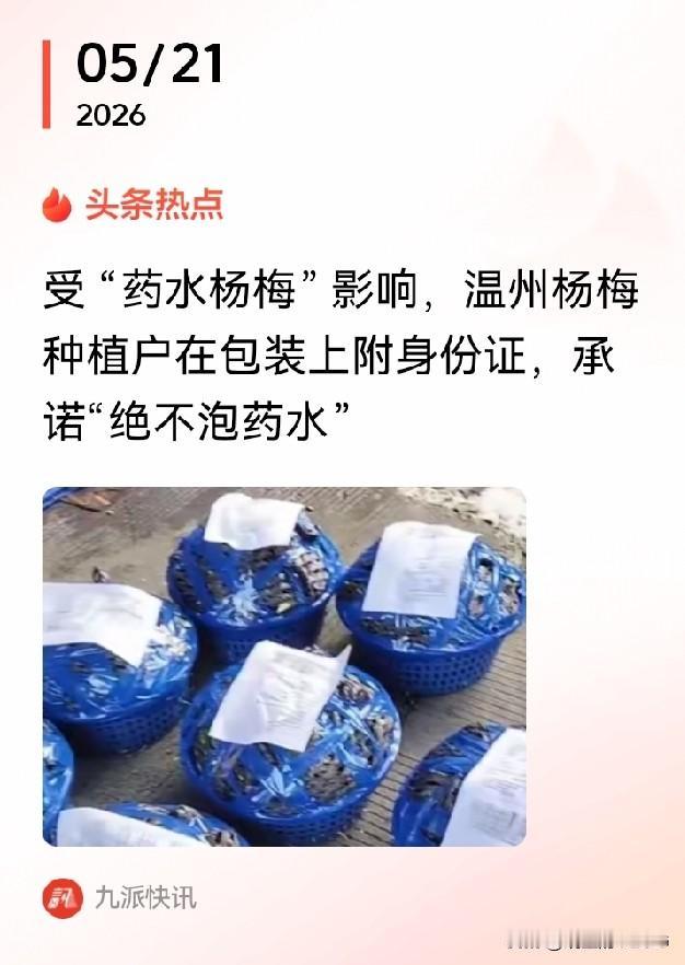 浙江温州杨梅农户自救！浙江温州杨梅种植户已经开始自救，他们把身份信息贴在杨梅外