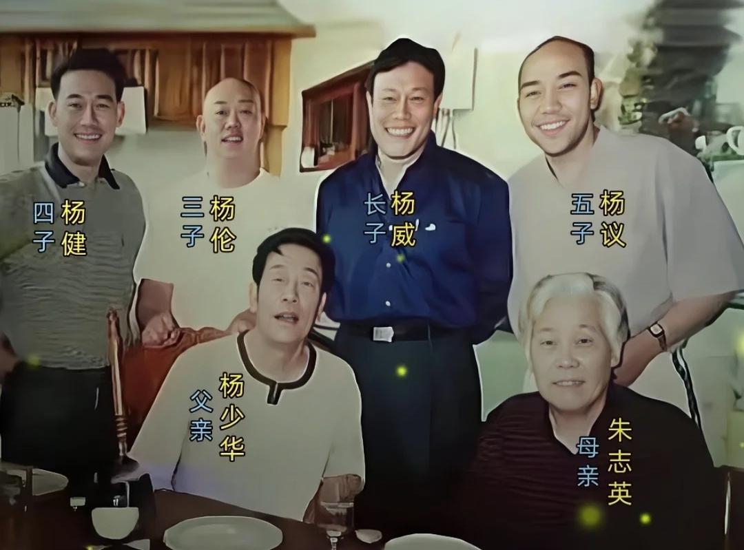 杨少华、杨议的全家福，为啥杨议叫杨老五，全家福只有杨少华夫妇和四个儿子，老二是谁
