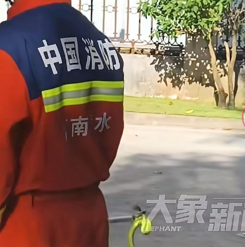 没想到相关部门也打电话联系相关部门海南陵水有人接到电话说，家中发现一条蛇需要立