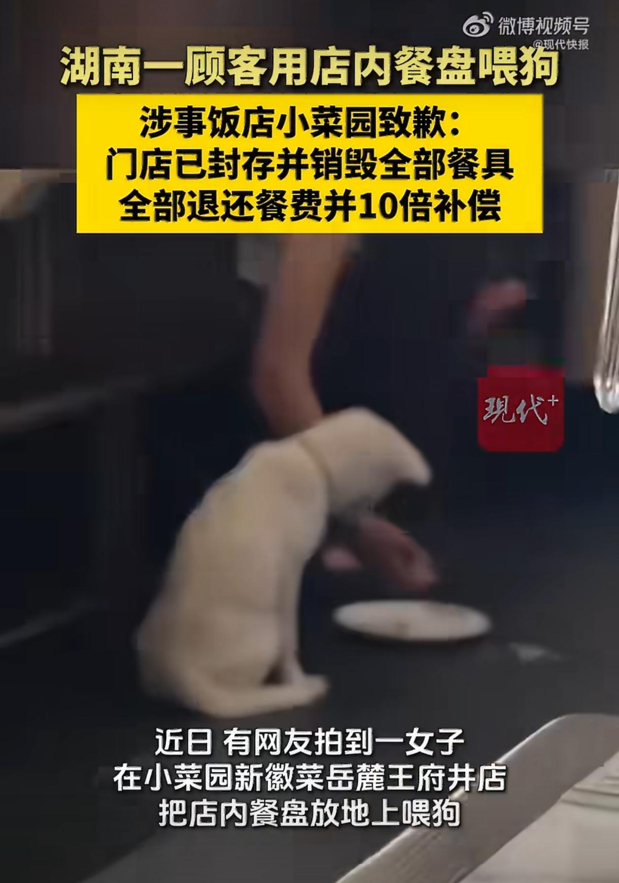 这两天，小菜园长沙门店那档子事，看得人心里直膈应。8月10日下午一点多，长沙