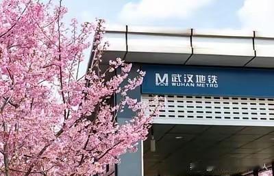 武汉推出一项新举措：市民坐公交地铁可抵房贷。算下来228㎏减排量=457元贷