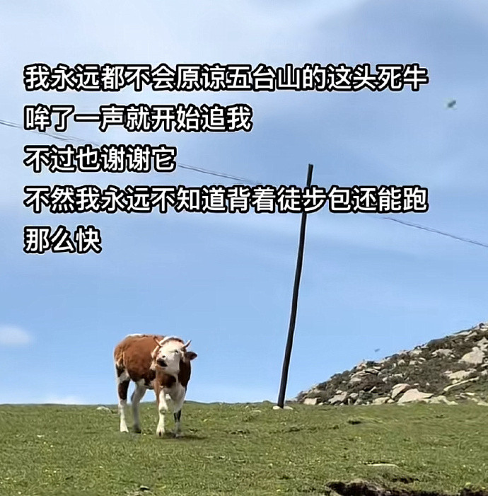 当代网友窝囊的报复belike：​​​