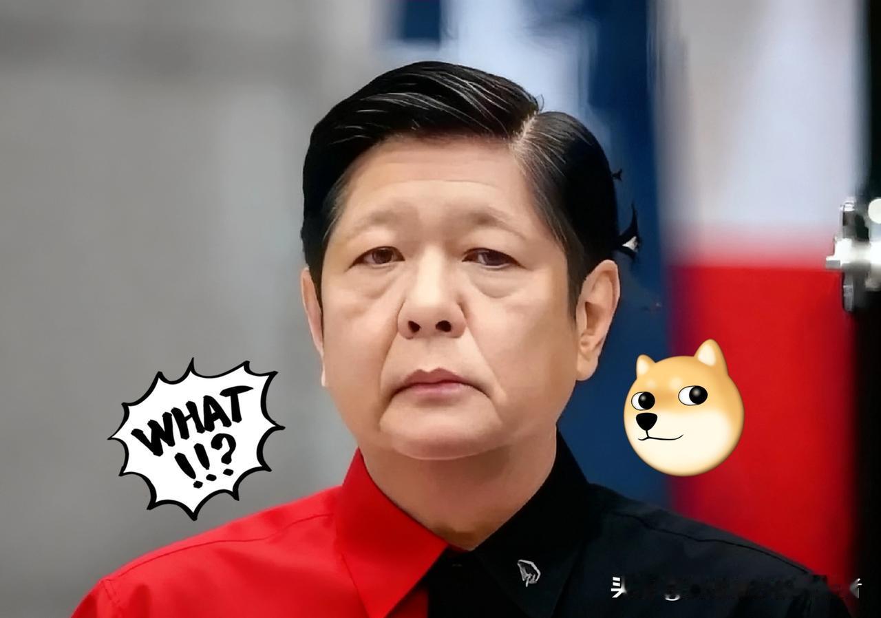 快报！菲律宾正式宣布11月9日，菲律宾国家减灾委传来揪心消息，台风“海鸥i