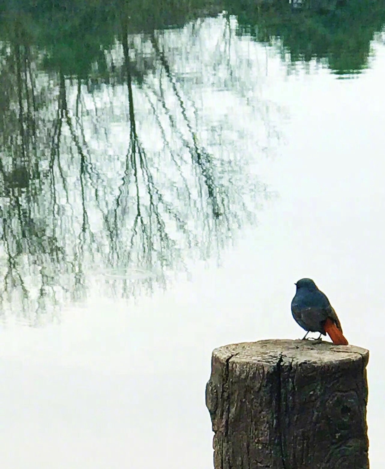 不要寄希望于任何人可以来认识自己和理解自己，这是一件唯有自己才能去完成的事情。特