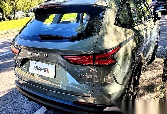 长城这招儿,算是给它玩明白了。枭龙MAX卖得不好,怎么办?简单,不叫枭龙了,