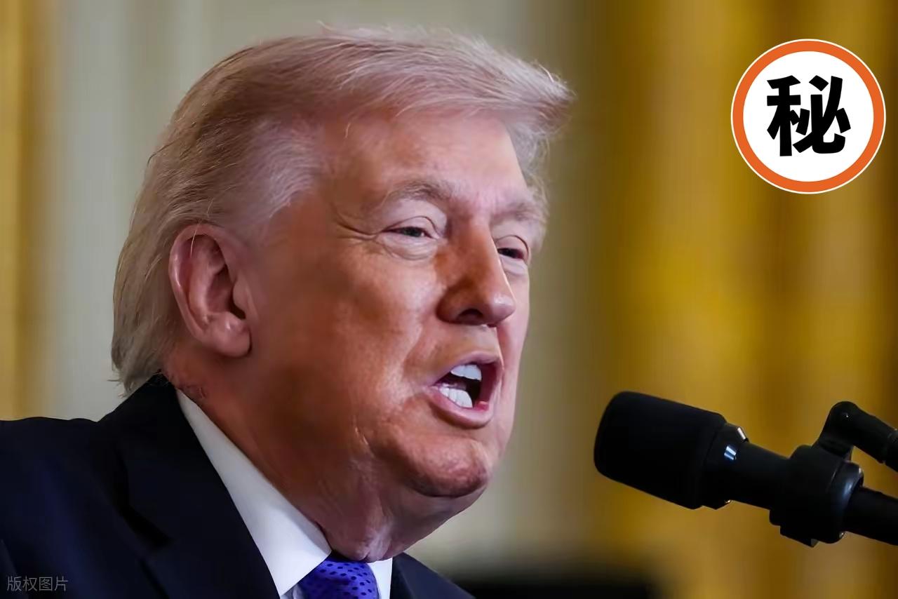 特朗普闯了大祸！3月3日，据西方媒体透露，阿联酋和卡塔尔正在四处寻找特朗普