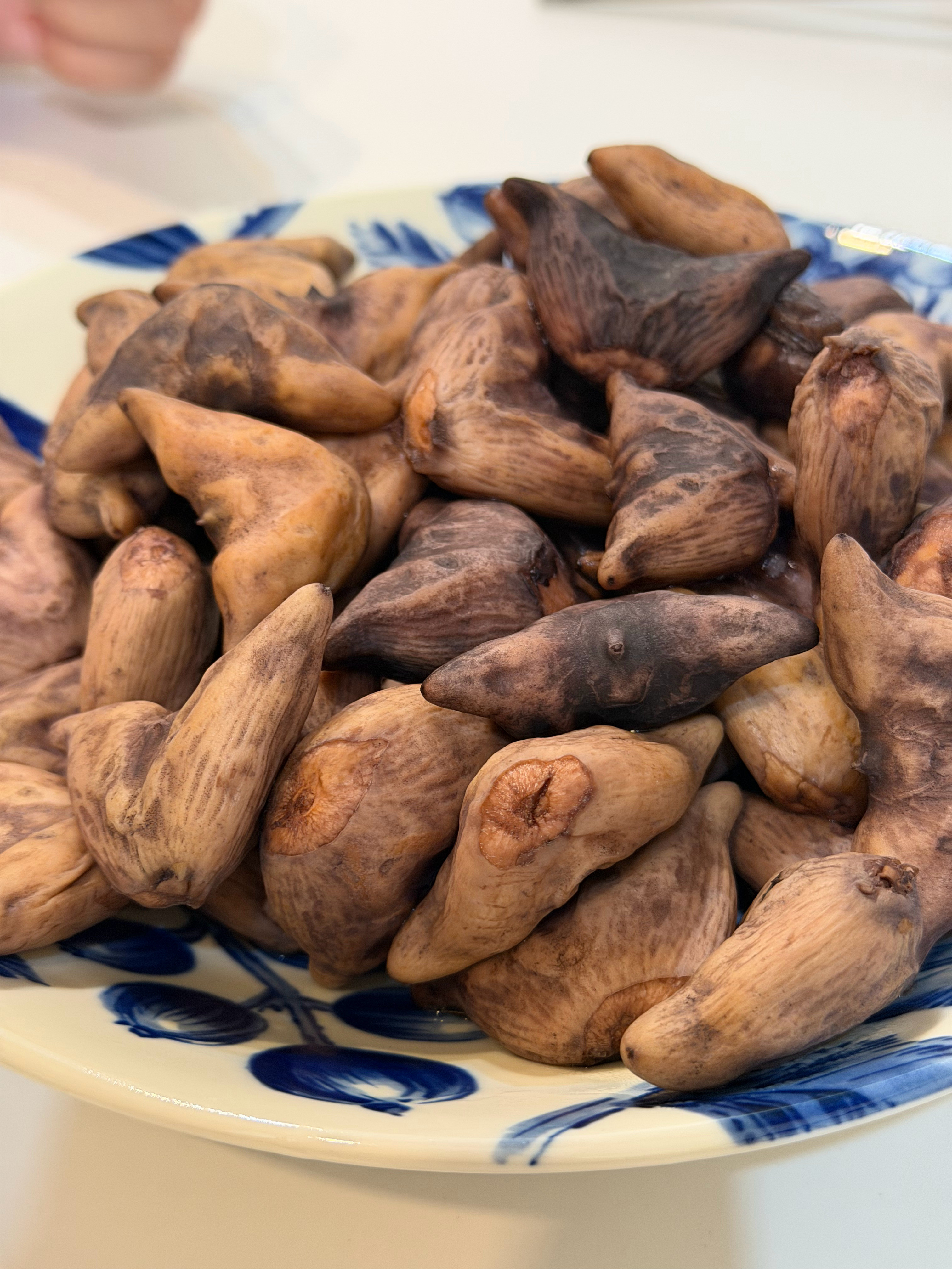 刚煮的菱角真好吃啊[大笑][大笑]。圆角的这种真好，不怕戳嘴。​​​