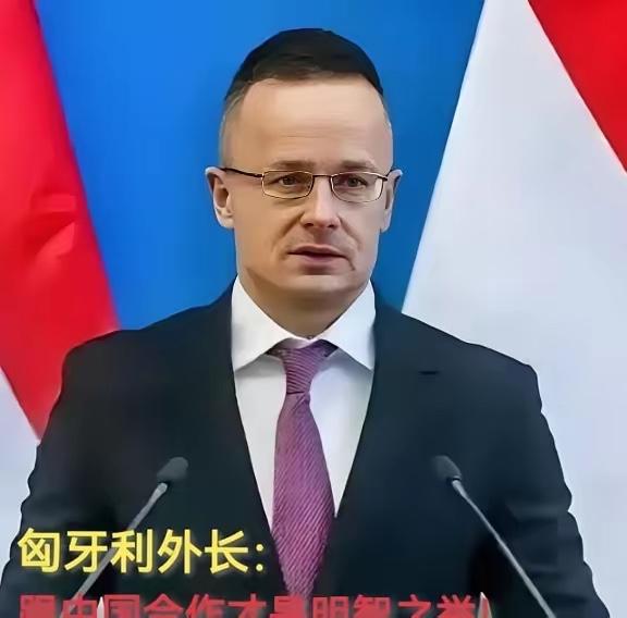 谁能料到，曾经扛着欧洲工业半壁江山、被欧盟当成经济风向标的德国，现在拍着大腿最眼