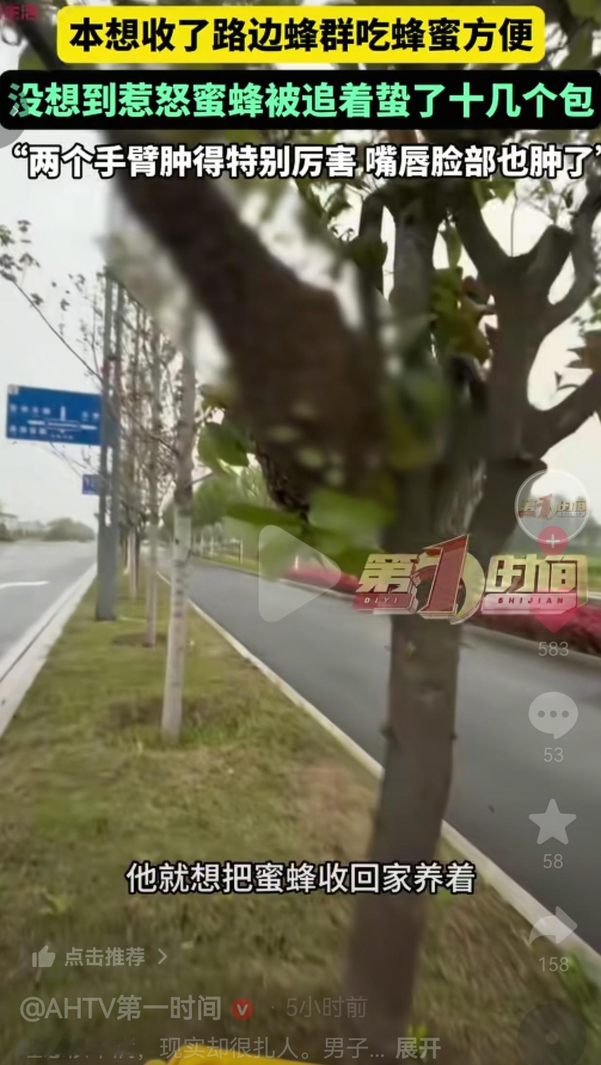 笑到拍大腿！河南息县孙先生看网上收蜂简单，就想把路边蜂群收回家养着吃蜂蜜，结果操