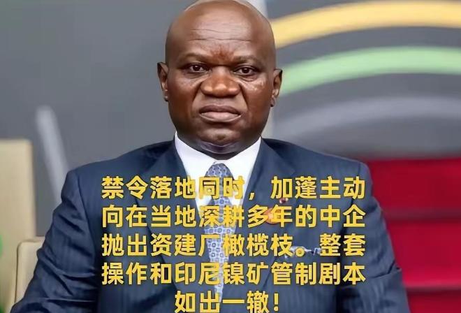 照搬印尼镍矿套路！加蓬叫停锰矿原矿出口，逼中方交出核心冶炼技术！2025年5