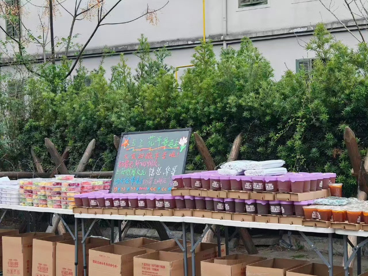 影视寒冬寒不到紫