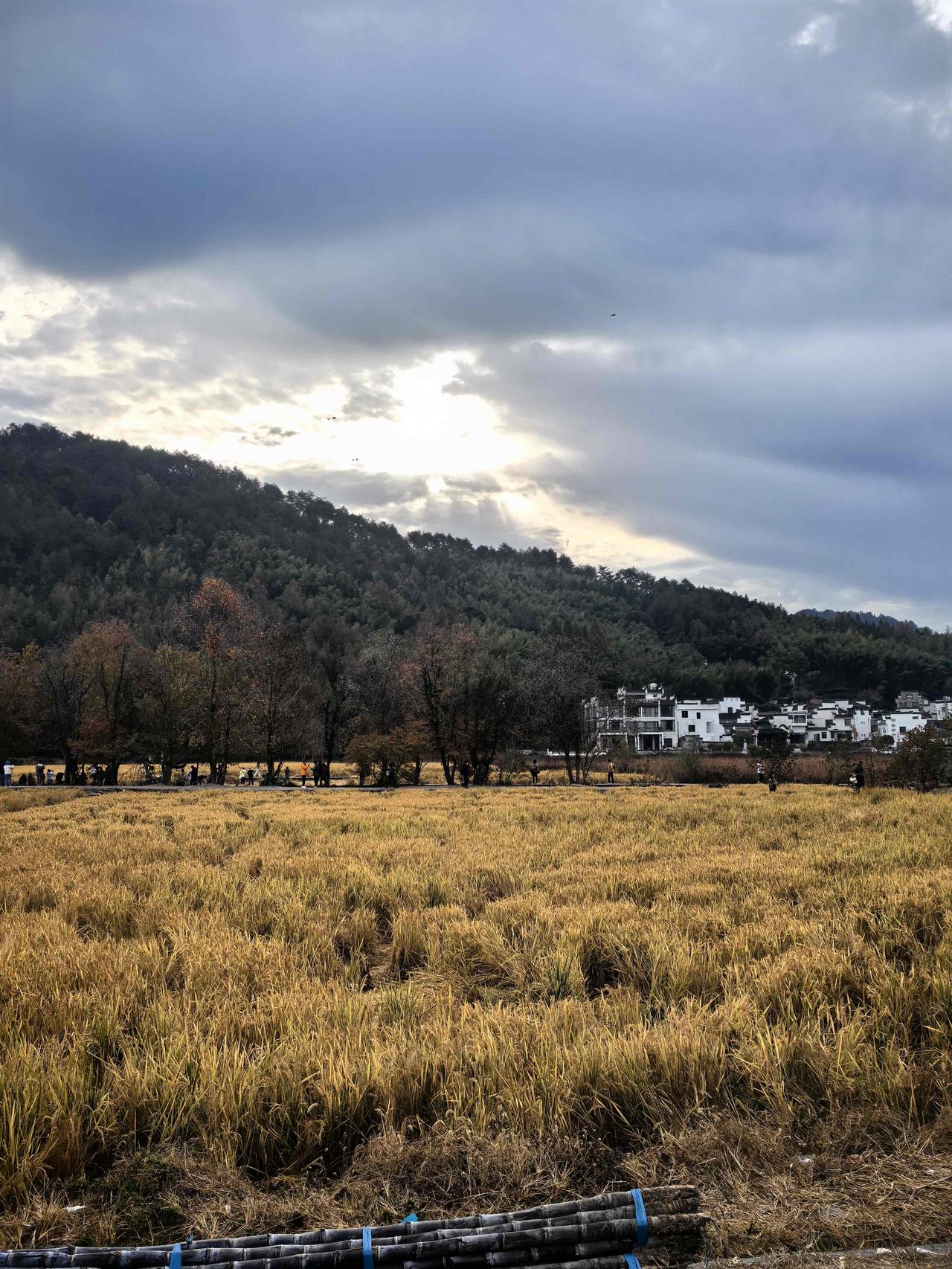 优秀的学生基本上都在南京的六大，六大之外想考一个985，或者是211太难了，为什