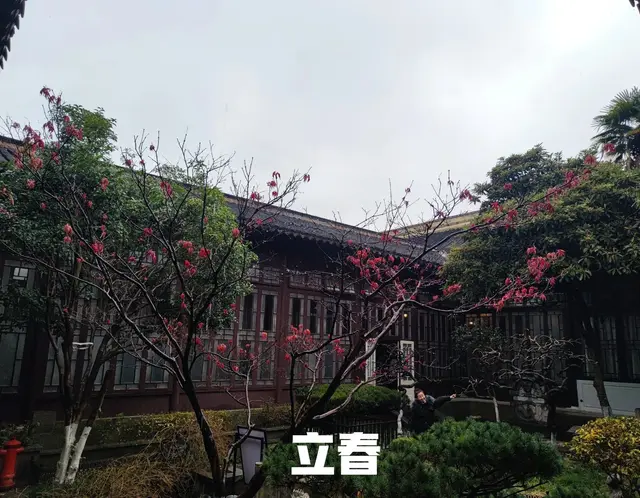 明日立春, 建议大家: 少吃白菜土豆, 多吃4样, 解腻清口正当季