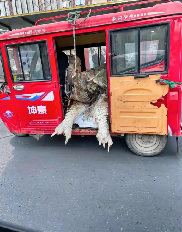 山东临沂，有一位村民驾车跟妻子到镇上赶集，看到前边一家店铺的门前停放着一辆红色的