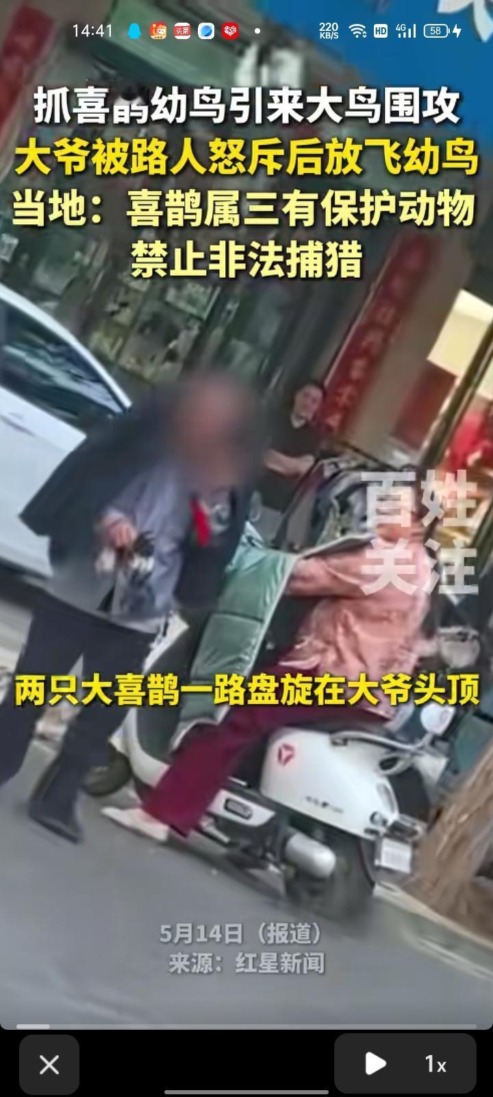 5月11日，宁夏吴忠。网友发视频称，大爷抓喜鹊幼鸟，引来大鸟围攻，大爷为了防止被