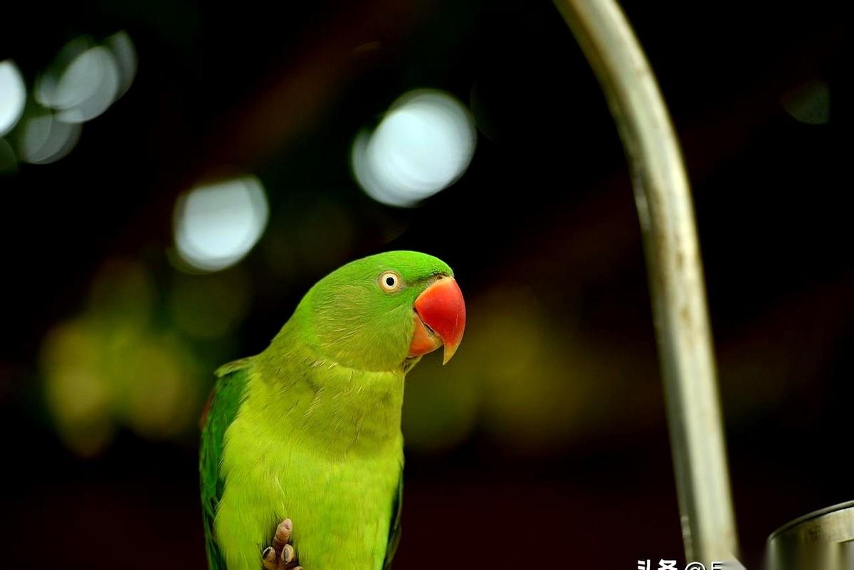昨晚刷到云朵直播，听她自己亲口说，才恍然大悟。原来云朵，早就不是当年那个只会用