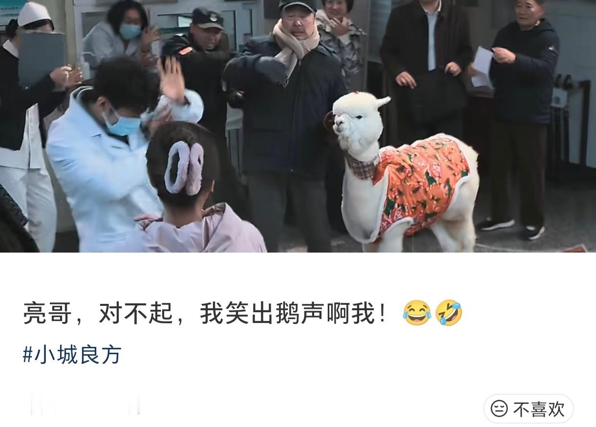 哈哈哈哈哈哈哈哈哈哈哈