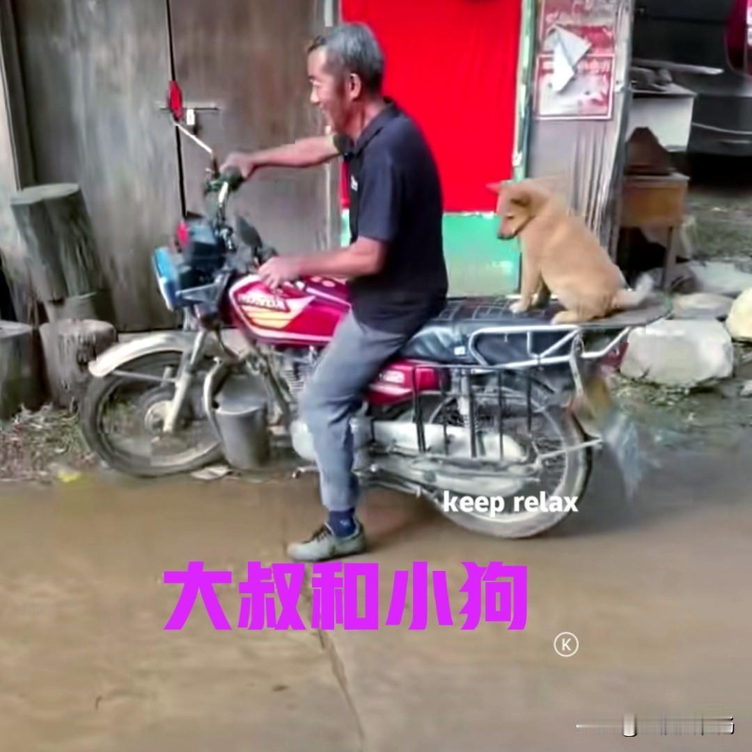 村里有位大叔，儿子怕他无聊，于是在网上给他买了一只小狗，听说花了一千多块钱。大叔