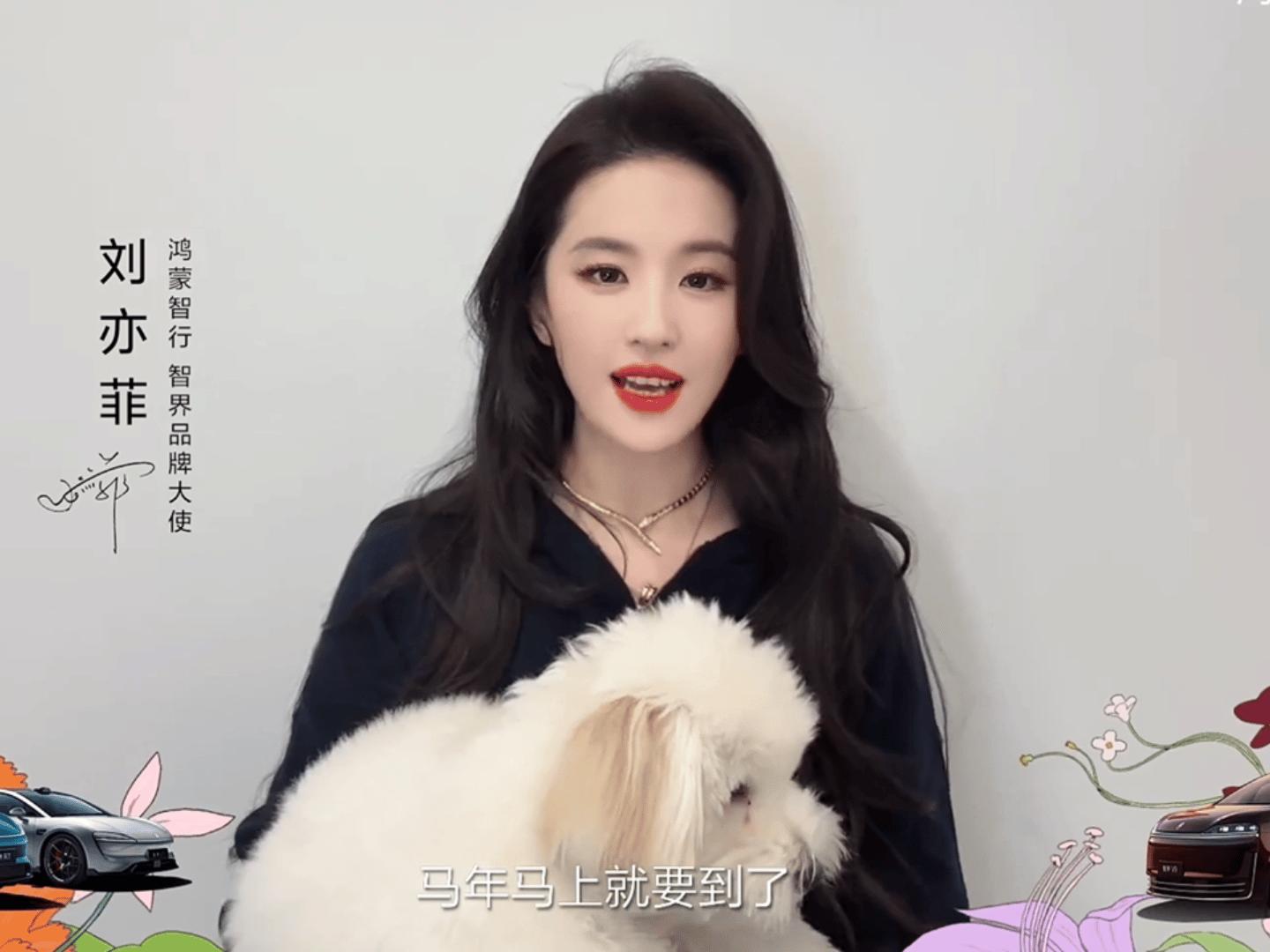 舔狗舔狗应有尽有